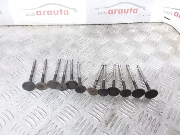 Audi OE Venttiili OEM ARA9933 A6 S6 C5 2002 image 2