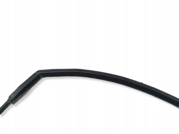 OEM 5G4837431 Framdörr fönsterpackning vänster image 3