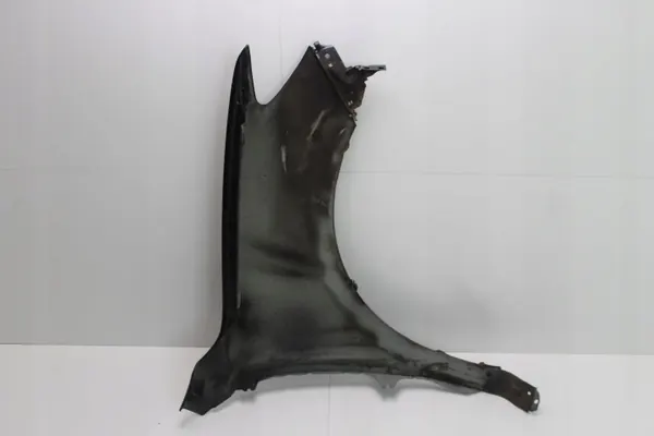 Para-lamas dianteiro esquerdo OEM 360211195 Hyundai Santa Fe II image 9