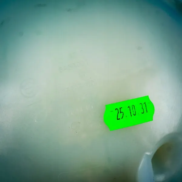 Kühlmittel-Ausgleichsbehälter BMW X5 G05 X6 G06 17135A6A031 image 4