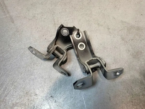 Bisagras Puerta Delantera Suzuki OE OEM FBZ17969 image 2