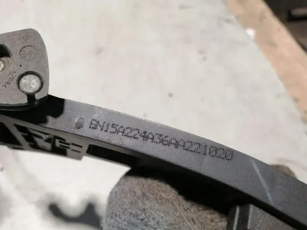 Griffrahmen rechte Hintertür Ford Ecosport GN15A224A36AA image 3