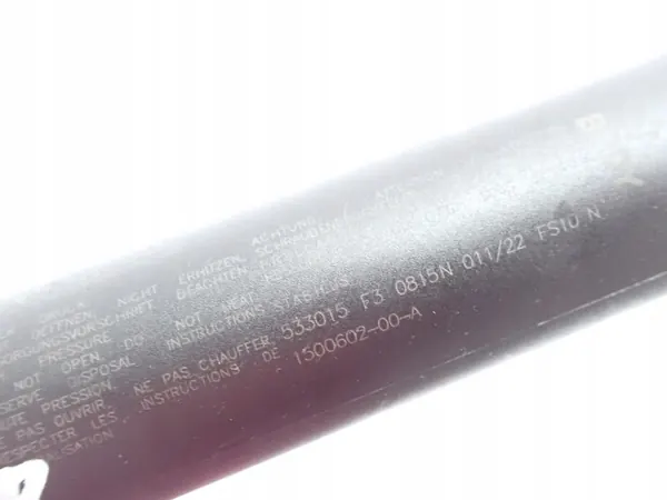 Tesla OEM 1500602-00-A bakluckstötdämpare för Model Y image 5