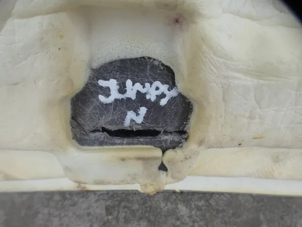 Gebrauchter Heckteppich OEM DYWAN TYŁ JUMPY III image 4