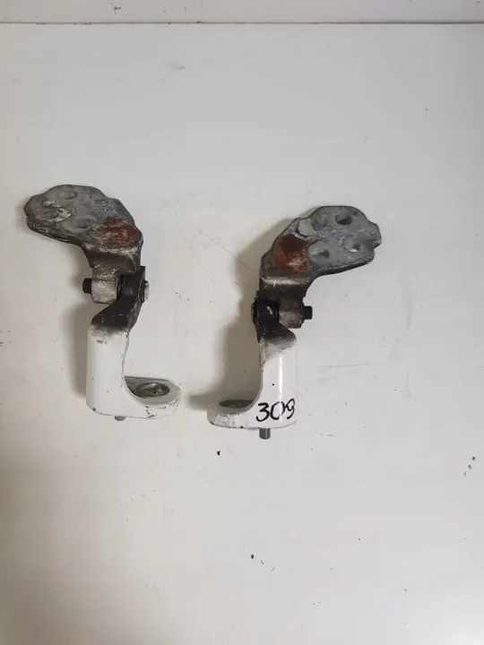 Paumelles de Porte Ford Transit MK8 OEM BK31-V22800-AD image 2