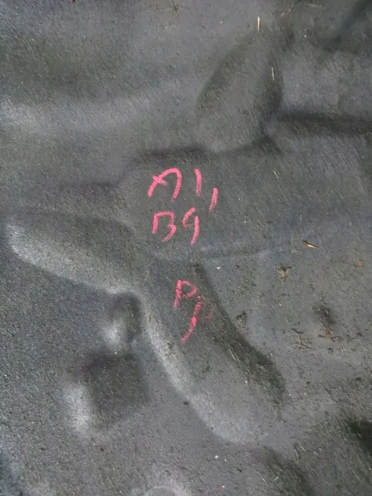Audi A4 B9 rechte vordere Kotflügel OEM 077/015 image 8