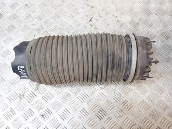 Ressort à air arrière OEM 68260938AA pour Dodge RAM image 2