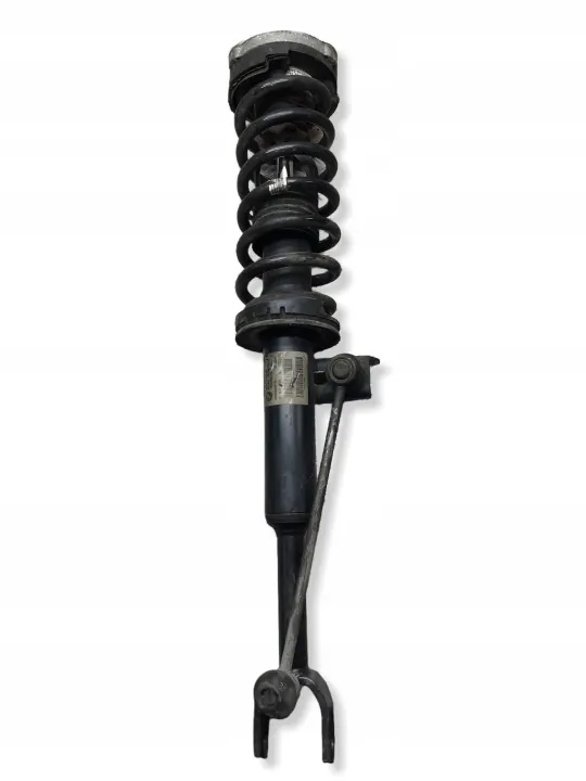 Amortecedor dianteiro esquerdo OEM F07V057BL BMW 5 GT image 2