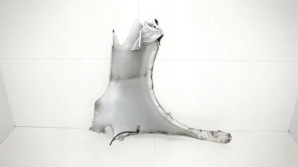 Para-lamas dianteiro esquerdo OEM 371118019 Opel Mokka image 8