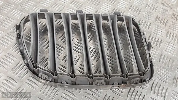 Griglia BMW X1 E84 2013 51112993305 image 2