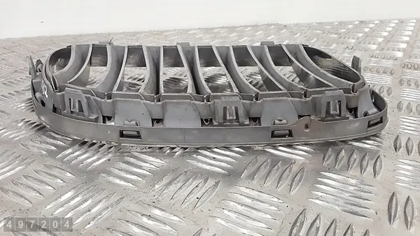 Griglia BMW X1 E84 2013 51112993305 image 3