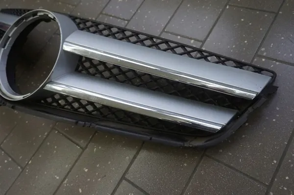 Griglia anteriore Mercedes-Benz E-Class W207 OE A2078880283 image 4