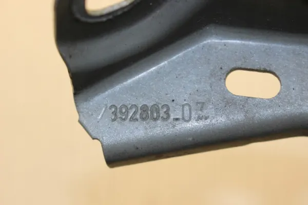 BMW X1 F48 Voor Linker Spatbord Glijbevestiging OEM 7329447 image 4