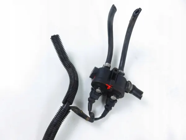 Carril de inyección GLP OEM 67R-010233 - Usado image 6