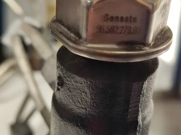 Rampe de carburant Original Citroen C3 Peugeot 207 1.4-1.6 HDI 1570G2 image 4