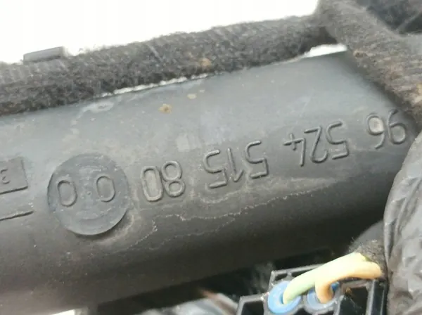 OEM 9652451580 Ruiskutuskaari Citroen C4 1.4 16V image 3