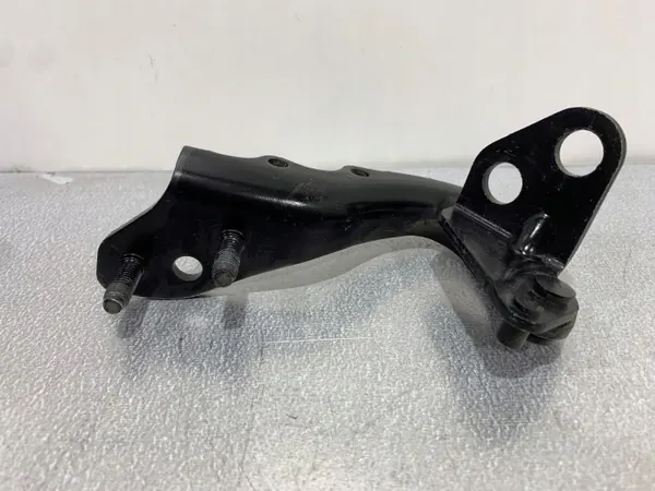FBZ20964 OEM Charnières Hayon pour Range Rover Evoque image 2