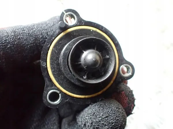 Válvula EGR OEM 0451025301 para Jaguar XF image 3