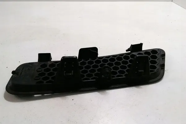 Griglia paraurti anteriore RENAULT MEGANE SCENIC 7700428467B image 3