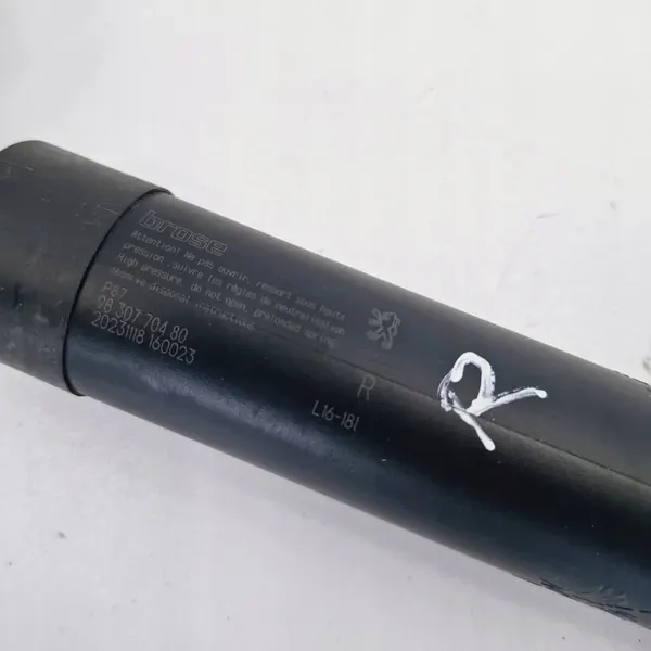 Bakluckslåsmekanism Peugeot 5008 II 9830770480 image 2