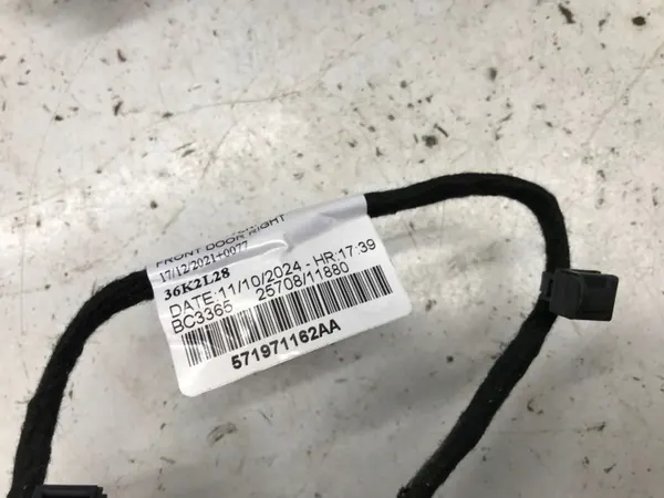 Harness Puerta Delantera Derecha OEM 571971162AA image 3