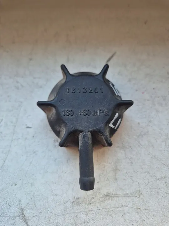 Tapa de tanque DAF XF 106 EURO 6 1813201 image 1