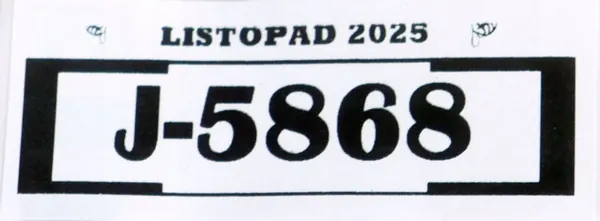 Right Front Wheel Arch VW Golf 8 VIII image 9