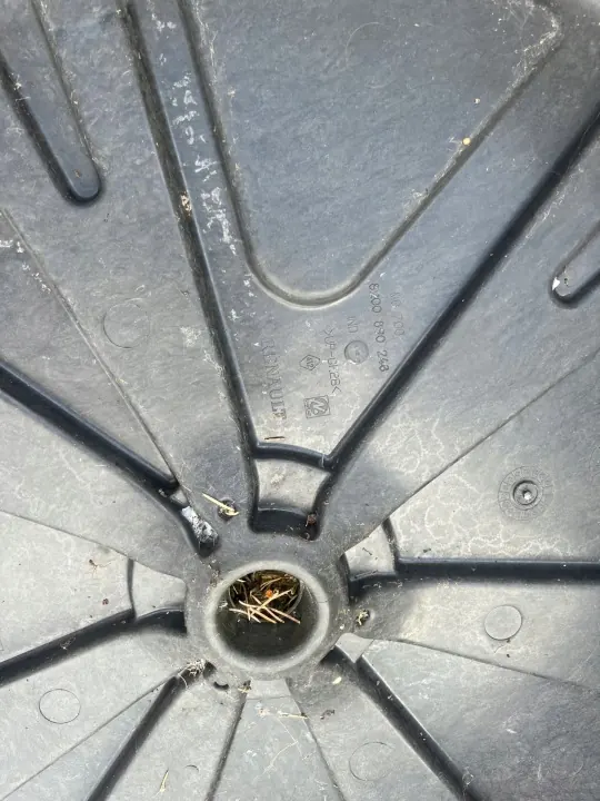 Fondo de maletero Renault Scenic III OEM 261284 image 3