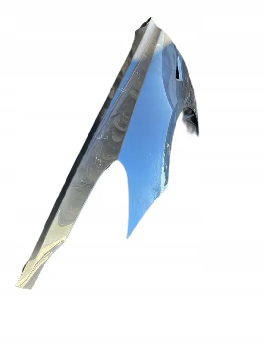 Parafango Anteriore Sinistro Tesla Model 3 1081401-E0-C image 2