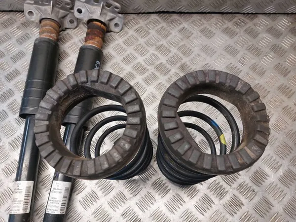 Ammortizzatori posteriori Fiat Punto 2012 OEM image 3