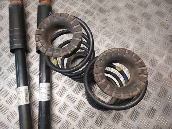 Ammortizzatori posteriori Fiat Punto 2012 OEM image 4