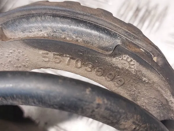 Ammortizzatori posteriori Fiat Punto 2012 OEM image 7