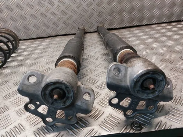 Ammortizzatori posteriori Fiat Punto 2012 OEM image 8