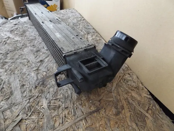 Intercooler Renault Scenic III 144960006R image 2