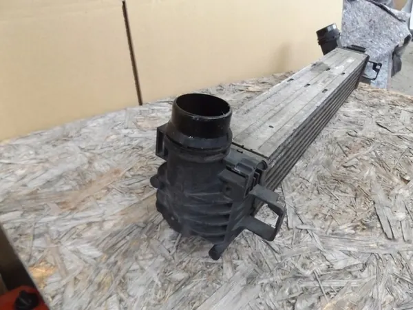 Intercooler Renault Scenic III 144960006R image 3