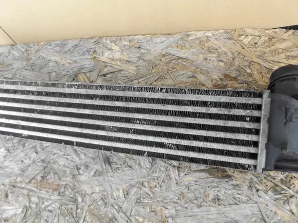 Intercooler Renault Scenic III 144960006R image 4