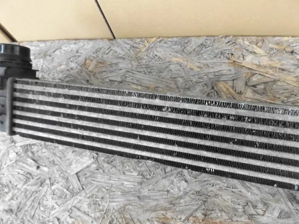 Intercooler Renault Scenic III 144960006R image 5