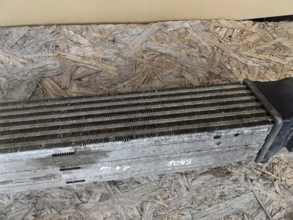 Intercooler Renault Scenic III 144960006R image 6