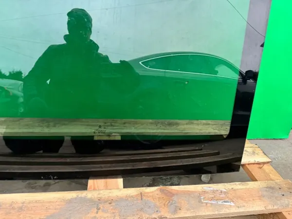 OEM Panoramakatto-lasi Citroen C3 Picasso 2008-2017 image 6