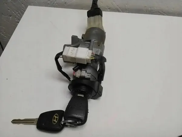 Sytytysjoukko OEM 391544A731 Hyundai H-1/Starex 2.5L image 5