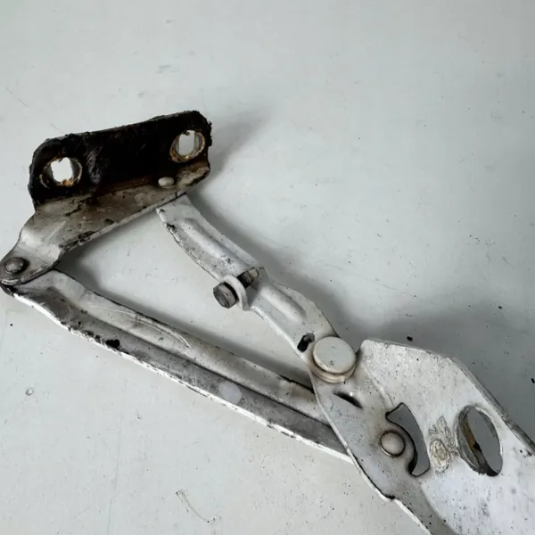 Paire de Charnières de Capot OEM JPF9067500021 image 7