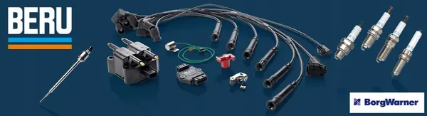 Bobina de encendido BorgWarner ZSE047 image 10