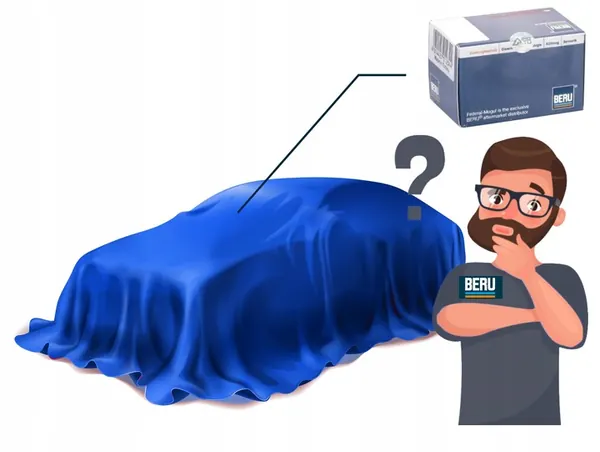 Bobina de encendido BorgWarner ZSE047 image 7