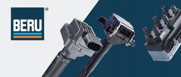 Bobina de encendido BorgWarner ZSE047 image 8