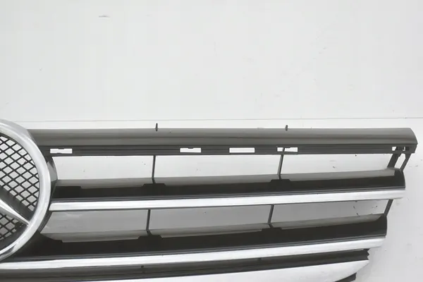 Grill Radiator Mercedes A W169 image 3