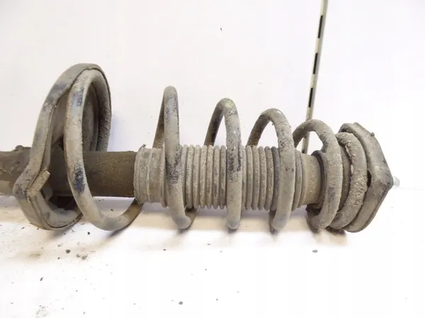 Ammortizzatore posteriore destro Hyundai Tucson I 04-10 OEM image 5