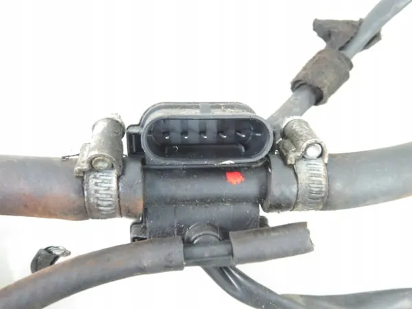 Kit LPG BRC Stag 200 Go Fast OEM 67R017009 image 4