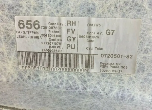 OEM 739108753R Teto para Renault Grand Scénic IV image 5