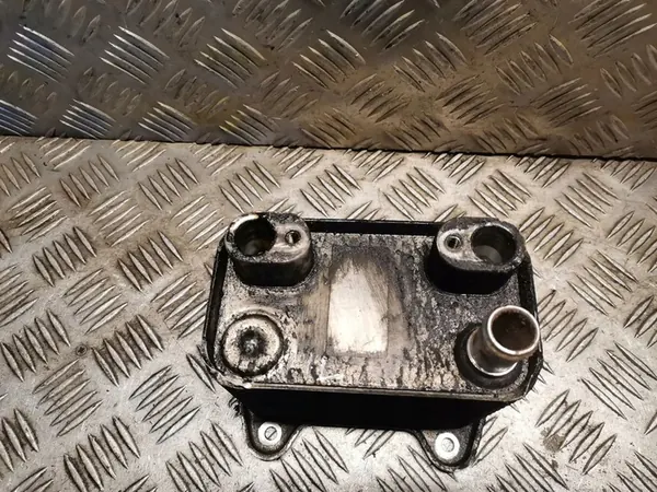 Radiador de óleo Mercedes-Benz ML W163 OEM 6131880101 image 2