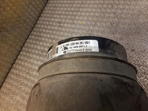 OEM 2513200425 Mercedes-Benz R W251 Taka-Ilmatyyny Vasen image 3